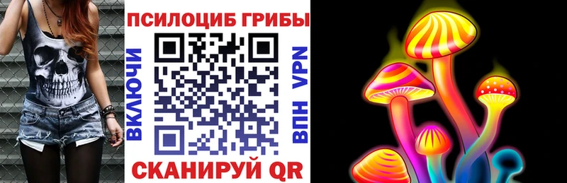 купить наркоту  Великий Устюг  Псилоцибиновые грибы мухоморы 